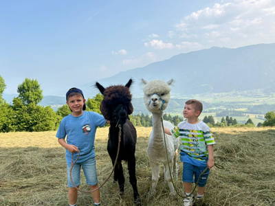 Bild 109 aus  Bergbauernhof Stauder, vlg. Oberrauter