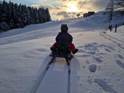 Bild 53 aus  Weitblickhof Roth