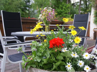 Bild 12 aus  Bio-Arche-Bauernhof Waldesruh