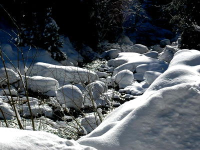 Bild 34 aus BIO-Bauernhof Gerlhof