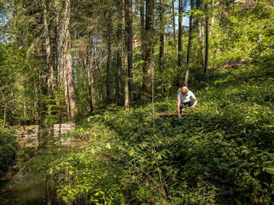 Bild 74 aus  Dichtlhof