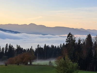 Bild 7 aus Birkenhof
