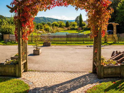 Bild 47 aus  Greischbergerhof