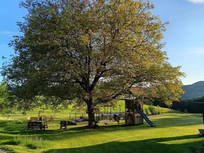 Bild 68 aus  Natur Erlebnishof Aumayr