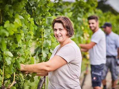 Bild 49 aus  Schmankerl und Gast Heiderer