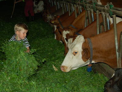 Bild 13 aus  Familien-Bauernhofurlaub im Herzen der Schweiz