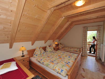 Bild 77 aus  Miniponyhof Wild