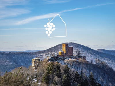 Bild 29 aus  Das Winzereck | Ferienhaus zwischen Weinbergen & Pfälzerwald