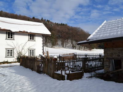 Bild 152 aus  Kaspergut