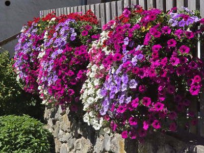 Bild 29 aus  Bruderhof