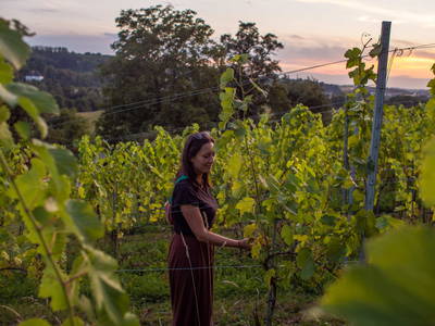 Bild 90 aus  Trattnachtaler Weinhaus