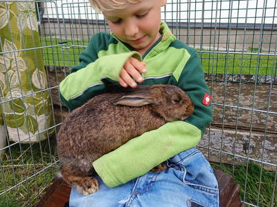 Bild 13 aus  Familienparadies Zeislerhof
