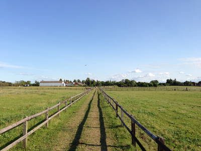 Bild 23 aus  Bernsteinreiter Hirschburg