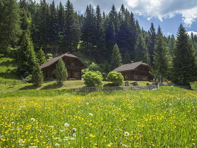 Bild 10 aus  Gasserhütten