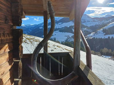 Bild 17 aus  Berghütte Boid