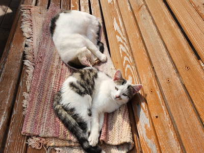 Bild 129 aus  Hansalagut