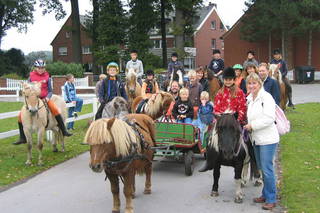 Pension-Ponyhof Hartmann - Bild 1