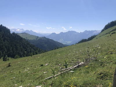 Bild 10 aus  Almchalet - Hirterhütte Trattbergalm