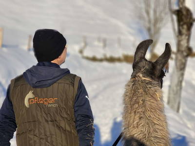 Bild 84 aus  Pfleger Ranch am Schönegg Gut