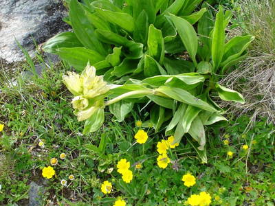 Bild 25 aus  Bergfeuerhof