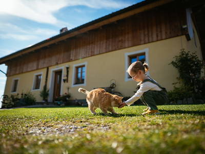 Bild 6 aus  Wohlfühloase Koglerhof