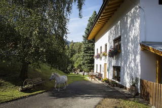Kräuterbauernhof Sagenschneider's aus Ried im Oberinntal