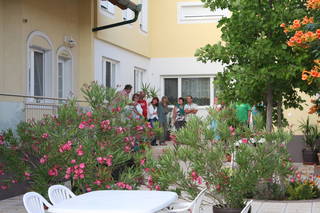 Illmitz, Pension & Weingut Storchenblick *** aus Illmitz