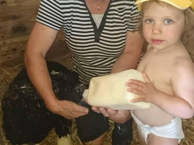 Bild 23 aus  Bauernhofferien Oberdürnberg