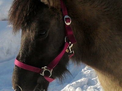 Bild 58 aus  Weidinghof