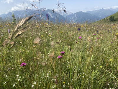 Bild 107 aus Landhof Unterkreuter