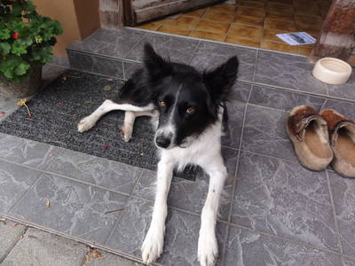 Bild 25 aus  Haldenhof