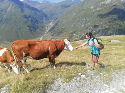 Bild 81 aus  Hoislbauernhütte