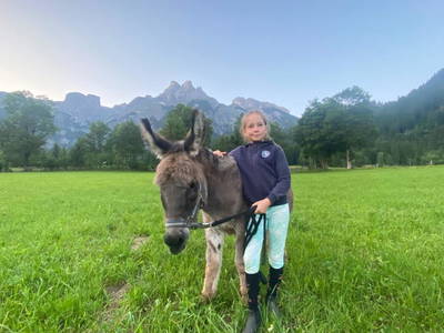 Bild 28 aus  Alpen Appartements Oberlehengut