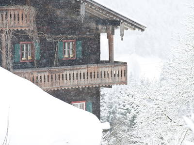 Bild 40 aus  Testhof UaB NÖ