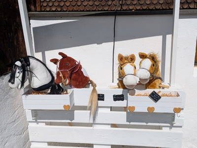 Bild 84 aus  Zom Ruaba