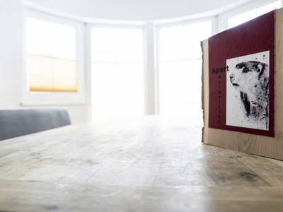 Bild 25 aus  Landhaus Martinus