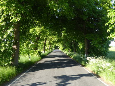 Bild 30 aus  Ferienhaus Gut Rattelvitz-INSEL RÜGEN