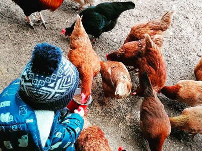 Bild 5 aus  Spörlhof