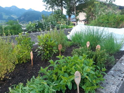 Bild 151 aus  Hagerhof