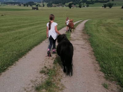 Bild 140 aus  Hoferbichlgut