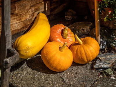 Bild 119 aus  Schwarzenbichlalm