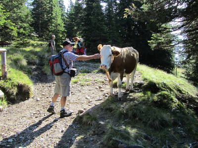 Bild 65 aus  Pölzlhof