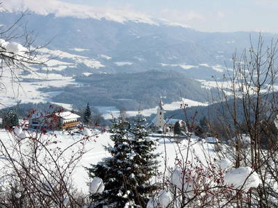 Bild 25 aus  Pöllauerhof