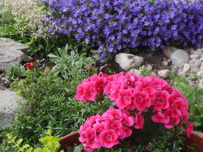 Bild 59 aus  Schmiedlehnerhof