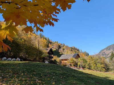 Bild 16 aus  Biohof Schott