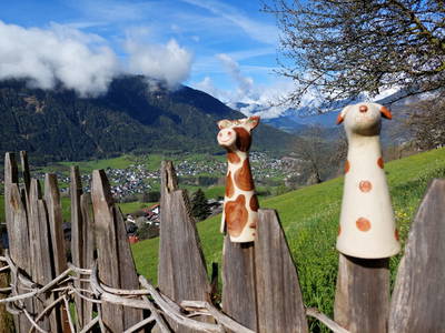 Bild 49 aus Wieserhof