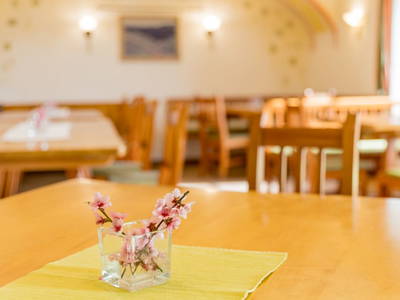 Bild 201 aus  Winzerhof Strablegg