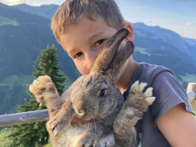 Bild 39 aus  Ferienhof Rösslar