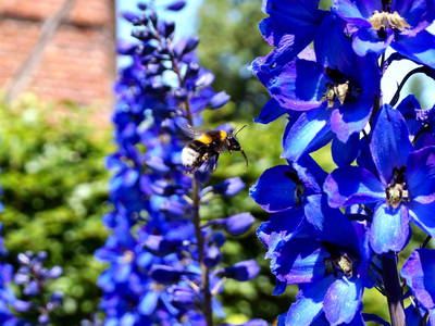 Bild 6 aus  SchleinersHof