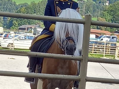 Bild 48 aus  Bio Chalet "Haus Wagner"